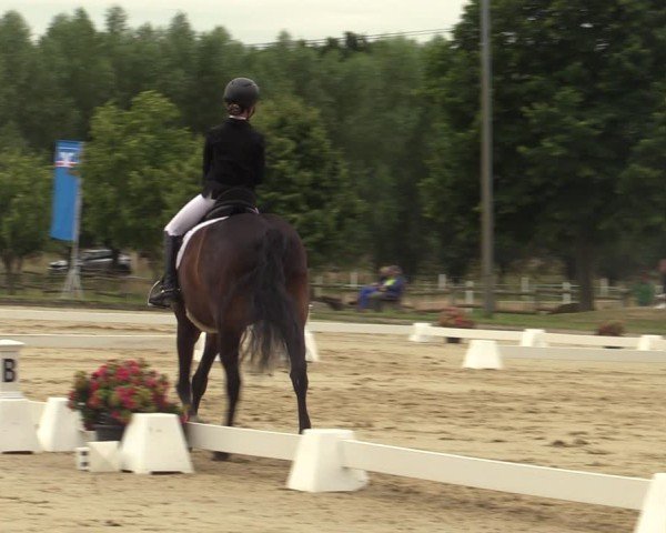 Reitturnier Münster-Roxel 2025