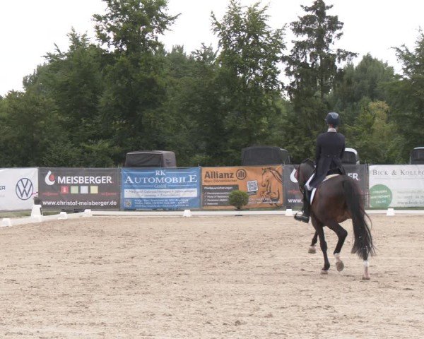 Reitturnier Heiligenwald 2025