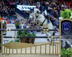 jumper Fischerdaily Impressed (Swedish Warmblood, 2008, from Cartani 4)