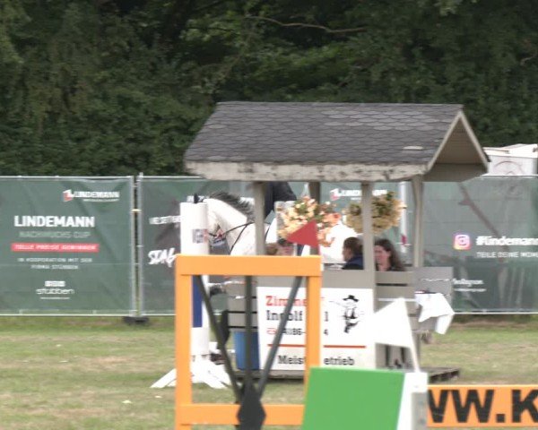 Reitturnier Wohlesbostel 2025