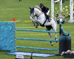 jumper Nirocco (KWPN (Royal Dutch Sporthorse), 2018, from Zirocco Blue)