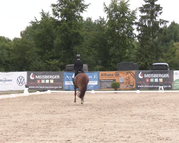Reitturnier Heiligenwald 2025