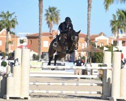 jumper Nagonda (KWPN (Royal Dutch Sporthorse), 2018, from Cohinoor VDL)
