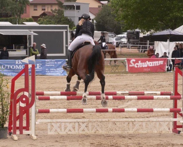 Reitturnier Heiligenwald 2025