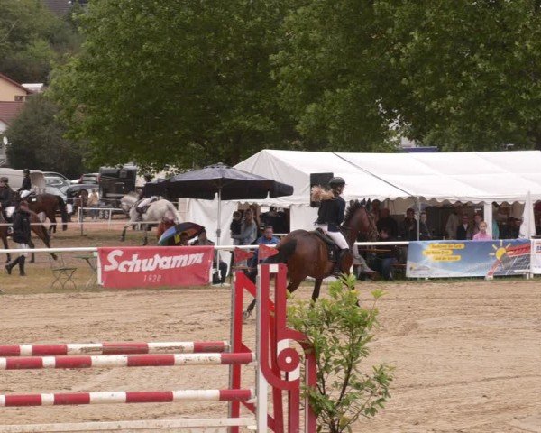 Reitturnier Heiligenwald 2025