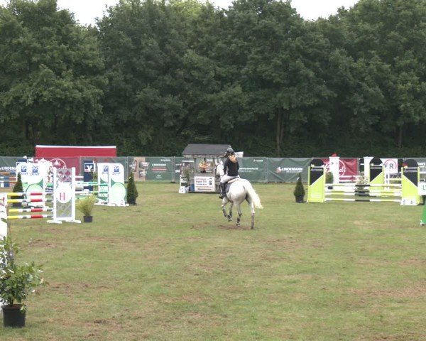 Reitturnier Wohlesbostel 2025