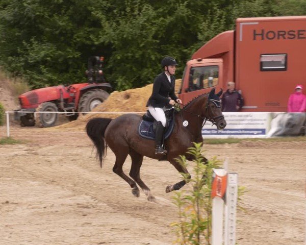 Reitturnier Heiligenwald 2025