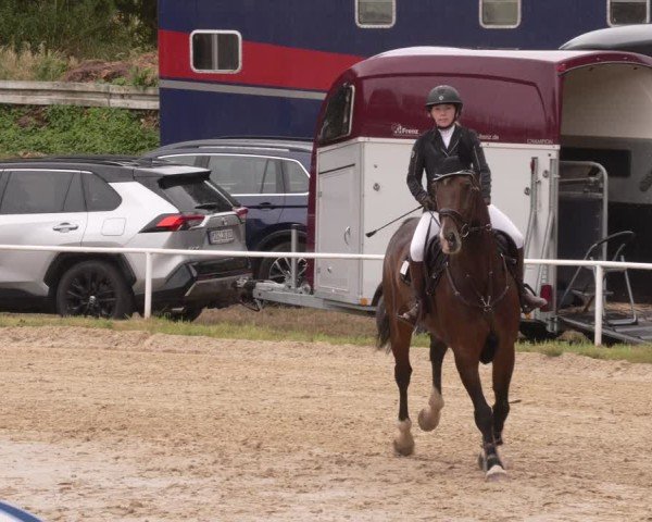 Reitturnier Heiligenwald 2025