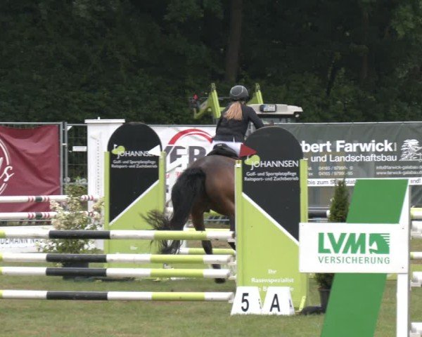 Reitturnier Wohlesbostel 2025