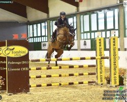 jumper Ginevra del Tiglio (unknown, 2012, from Grand Royal)