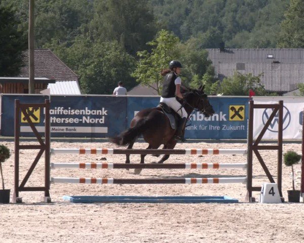 Springturnier Seewalchen 2025