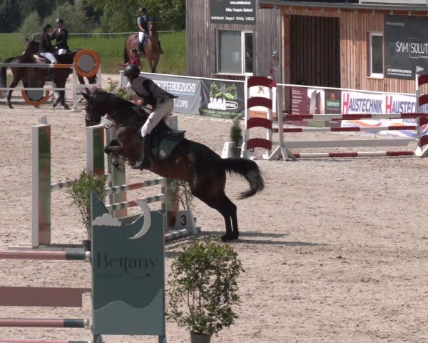 Springturnier Seewalchen 2025