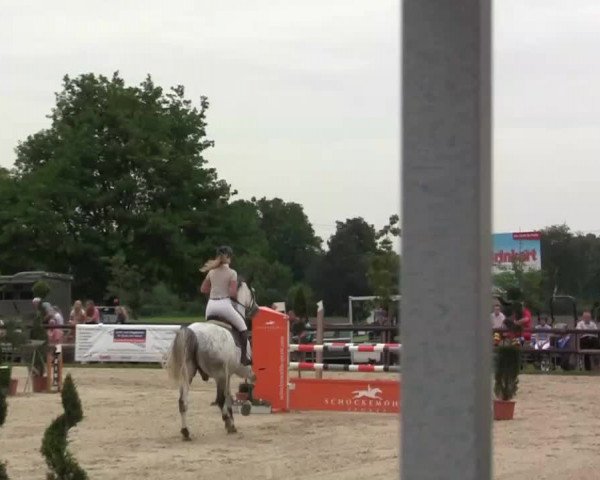 Großes Reit- und Springturnier Kirchhellen/Stall Dieckmann 2014
