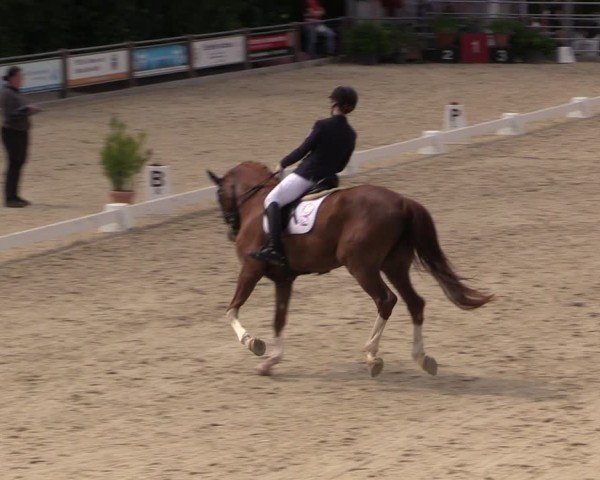 Reitturnier Uder, Reitanlage Kobold 2025