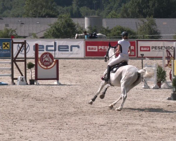 Springturnier Seewalchen 2025