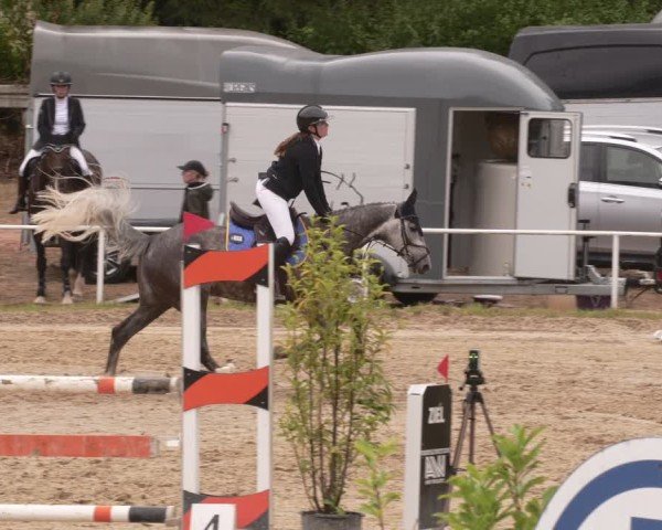 Reitturnier Heiligenwald 2025