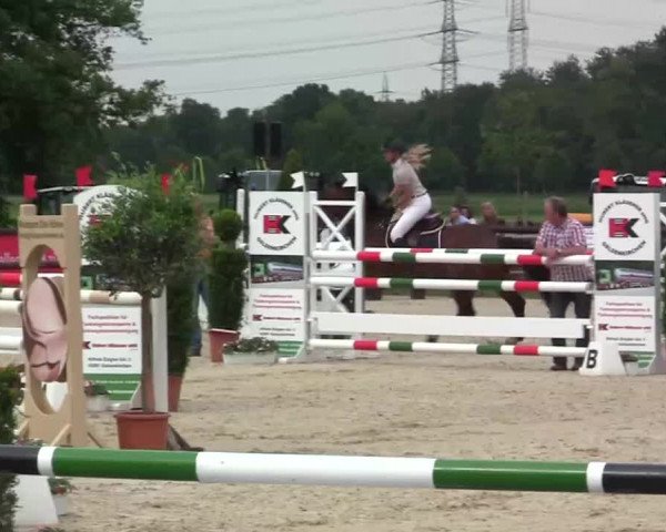Großes Reit- und Springturnier Kirchhellen/Stall Dieckmann 2014