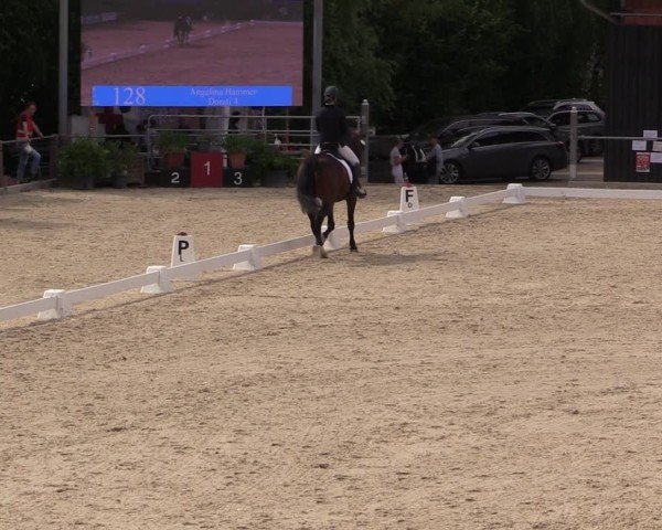 Reitturnier Uder, Reitanlage Kobold 2025
