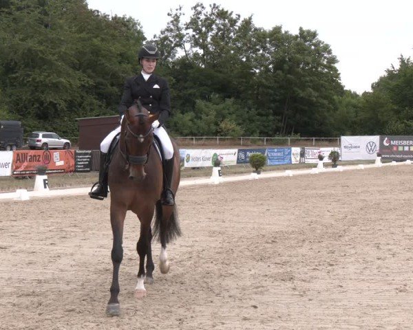 Reitturnier Heiligenwald 2025