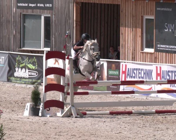 Springturnier Seewalchen 2025
