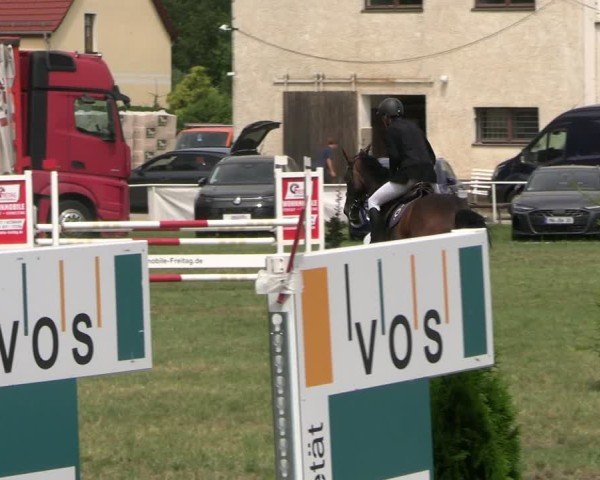 Reitturnier Burgstädt 2025