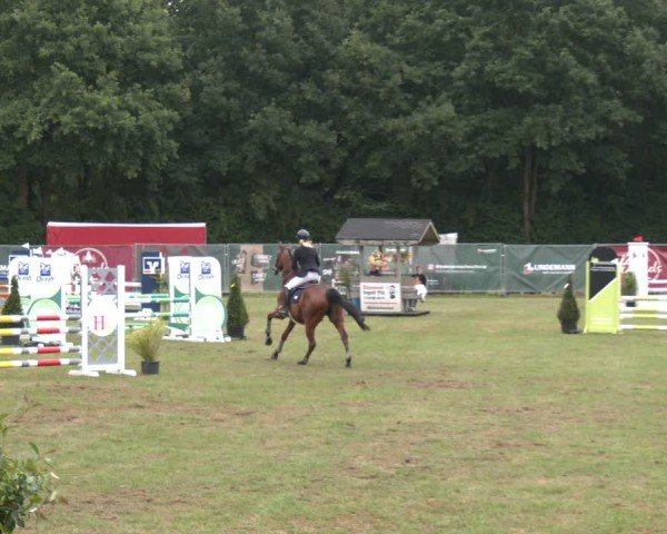 Reitturnier Wohlesbostel 2025