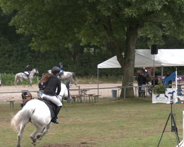 Reitturnier Wohlesbostel 2025