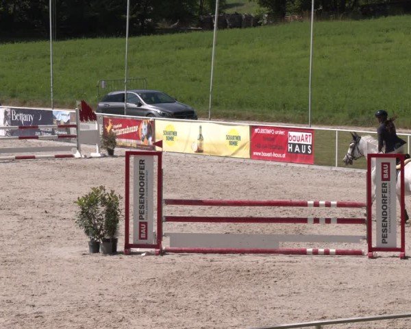 Springturnier Seewalchen 2025