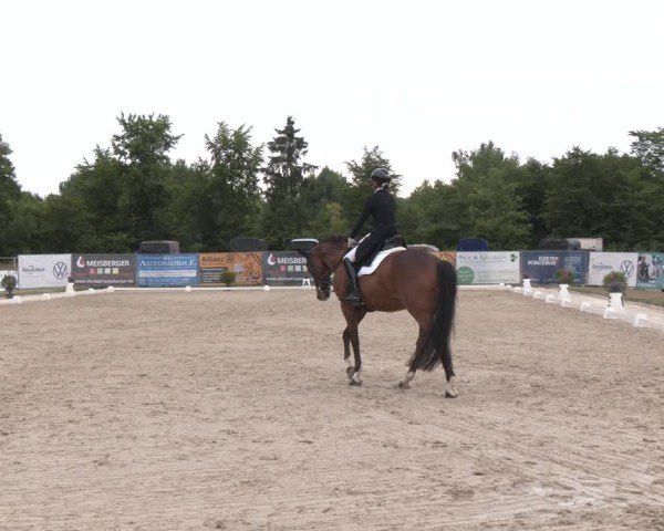 Reitturnier Heiligenwald 2025