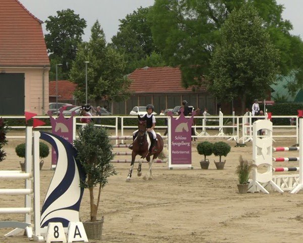 Reitturnier Neustadt/Dosse 2025