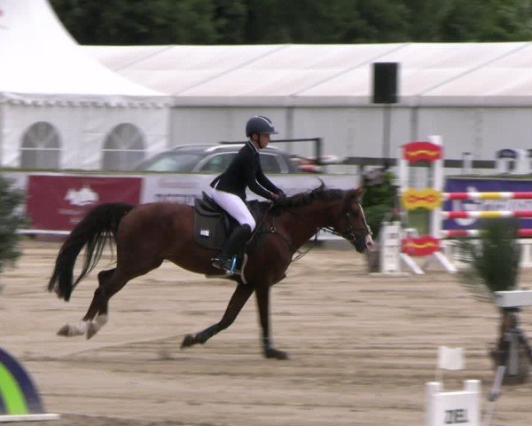 Reitturnier Neustadt/Dosse 2025