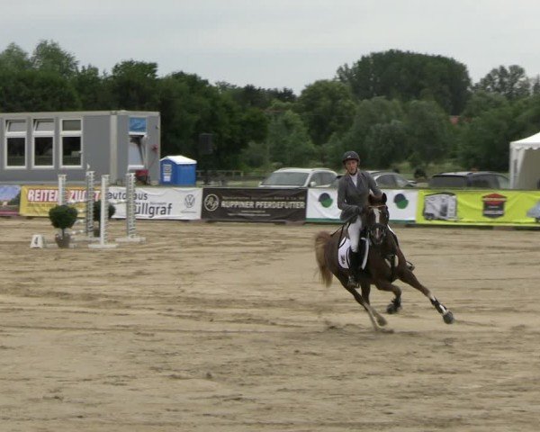 Reitturnier Neustadt/Dosse 2025