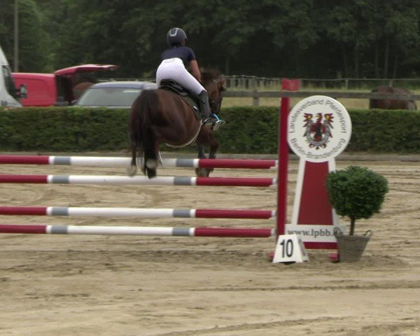 Reitturnier Neustadt/Dosse 2025