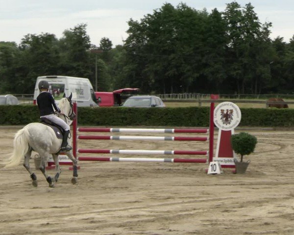 Reitturnier Neustadt/Dosse 2025