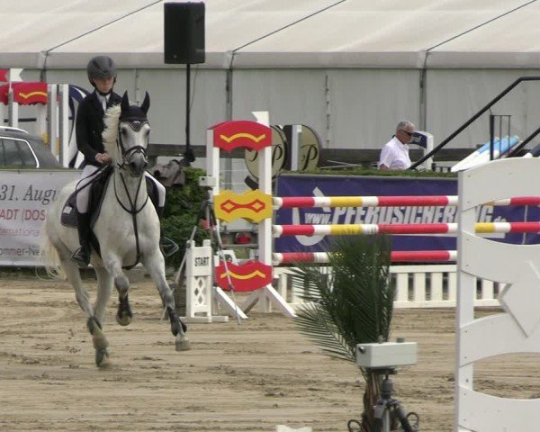 Reitturnier Neustadt/Dosse 2025