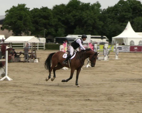 Reitturnier Neustadt/Dosse 2025