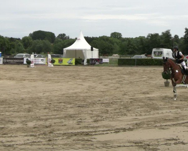 Reitturnier Neustadt/Dosse 2025