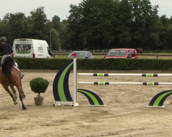 Reitturnier Neustadt/Dosse 2025