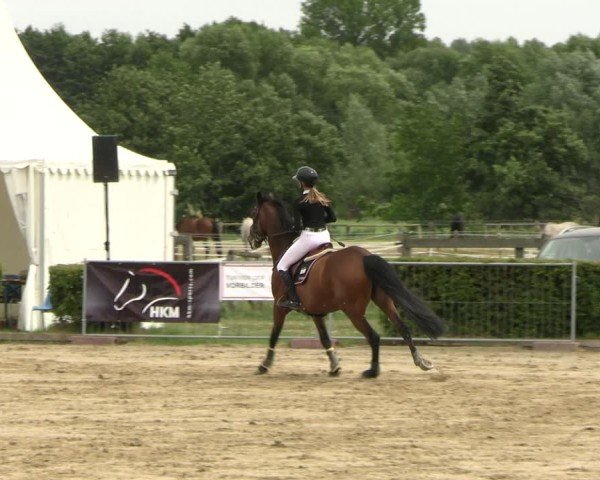 Reitturnier Neustadt/Dosse 2025