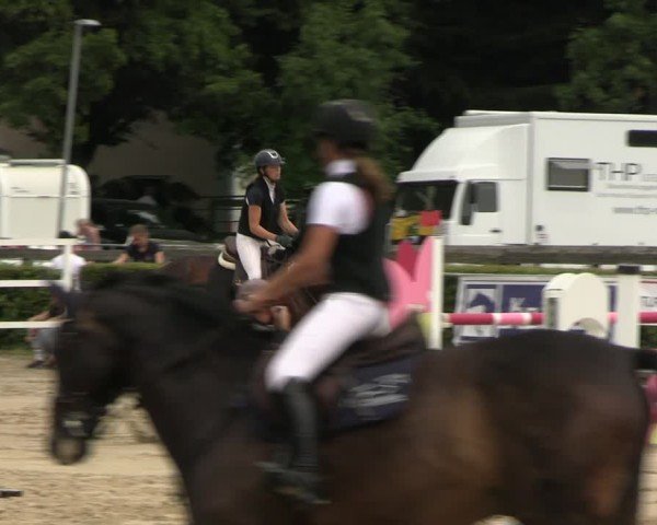 Reitturnier Neustadt/Dosse 2025