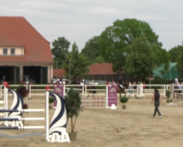 Reitturnier Neustadt/Dosse 2025