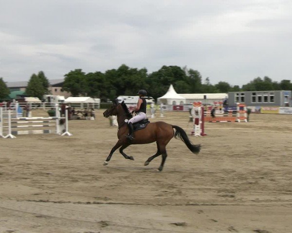 Reitturnier Neustadt/Dosse 2025