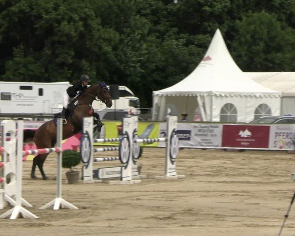 Reitturnier Neustadt/Dosse 2025