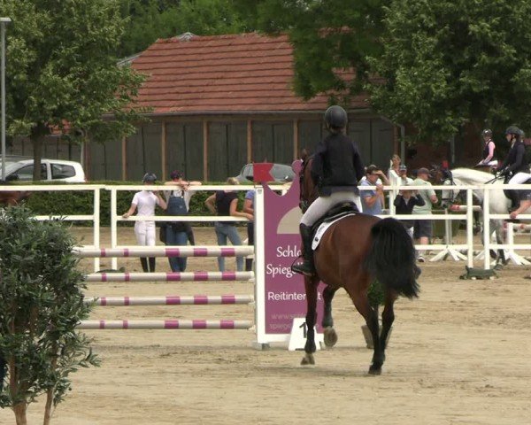 Reitturnier Neustadt/Dosse 2025
