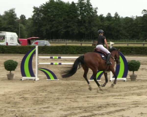 Reitturnier Neustadt/Dosse 2025