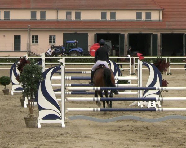 Reitturnier Neustadt/Dosse 2025