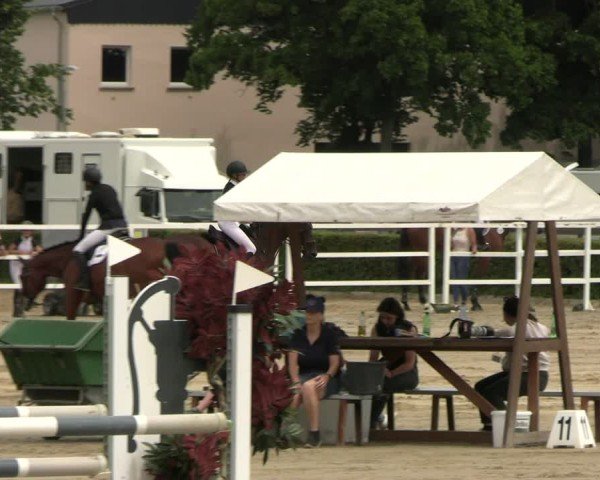 Reitturnier Neustadt/Dosse 2025