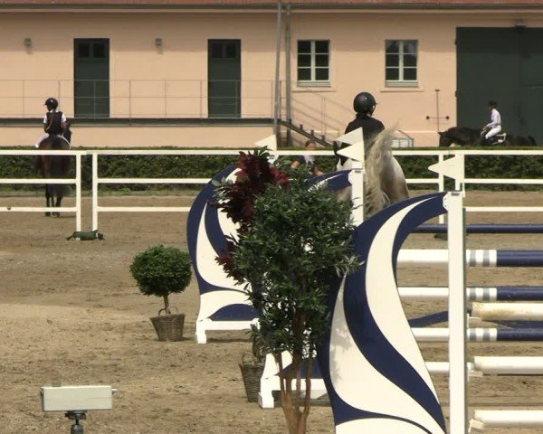 Reitturnier Neustadt/Dosse 2025