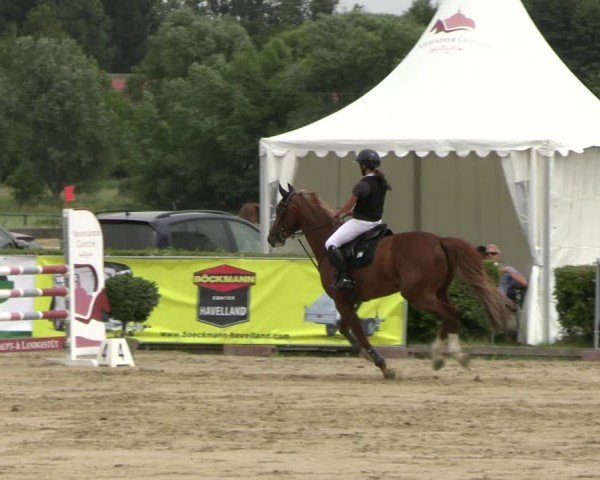 Reitturnier Neustadt/Dosse 2025
