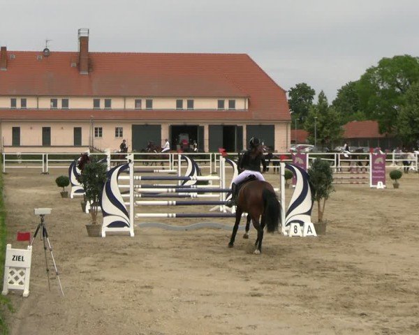 Reitturnier Neustadt/Dosse 2025